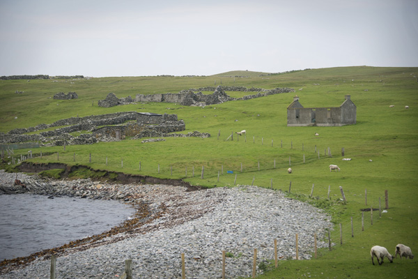 Thimbleanna: Shetland