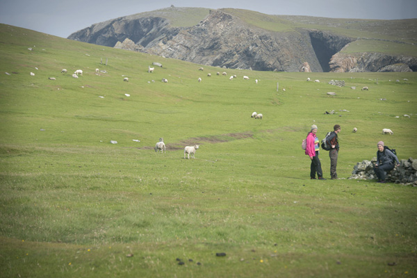 Thimbleanna: Shetland