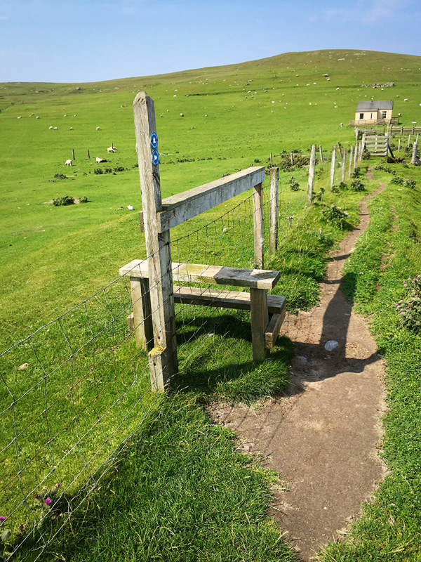 Thimbleanna: Shetland