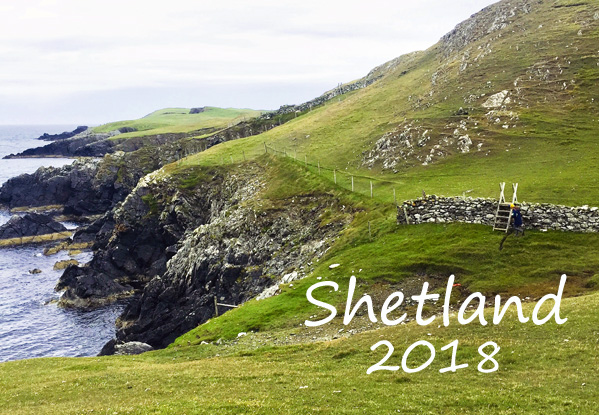Thimbleanna: Shetland 2018
