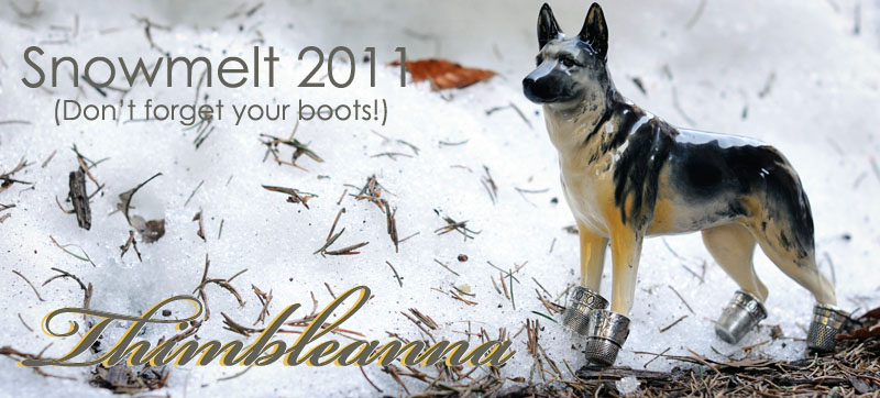 Thimbleanna: 2011 Winter